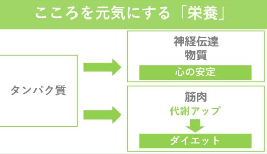 心の安定とダイエットのために、タンパク質は意識的に摂取すべき