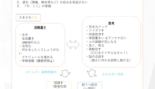 双極性障害のトリセツ（私の場合）